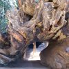 Kings canyon et Sequoia 03